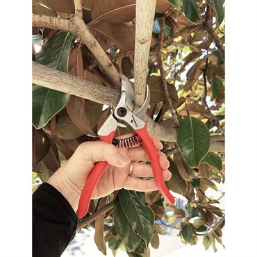 Corona 3/4" ClassicCUT Bypass Hand Pruner - Image 2