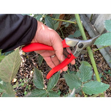 Corona 3/4" ClassicCUT Bypass Hand Pruner - Image 3