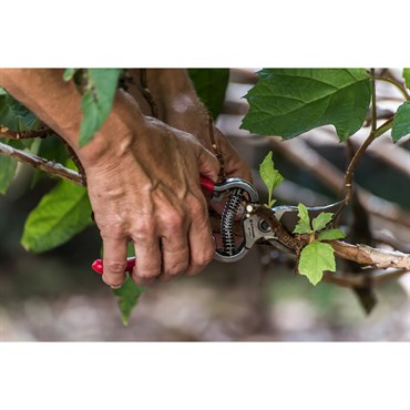 Corona 3/4" ComfortGEL Bypass Hand Pruner - Image 3