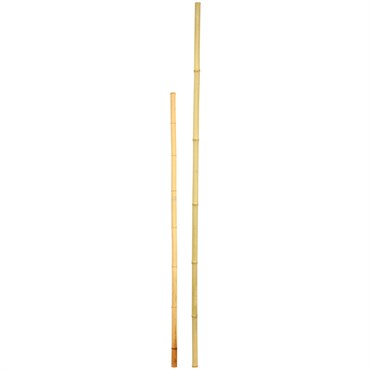 D&D Garden 5'x1" Super Bamboo Poles