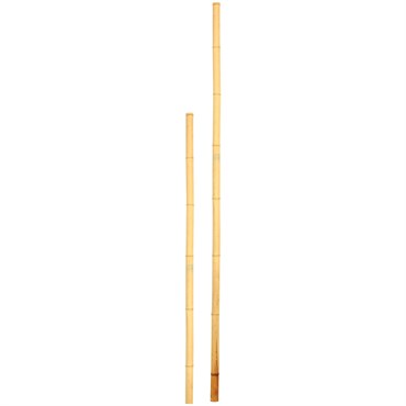 D&D Garden 6'x1.5" Super Bamboo Poles