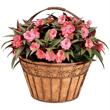 Deer Park 16" Daisy Ribbon Basket with Coco Liner