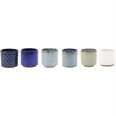 Deroma 48pc Succulent Mini Pot PDQ Box