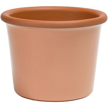 Deroma 5.51" Glazed Cylinder Flower Pot Rose