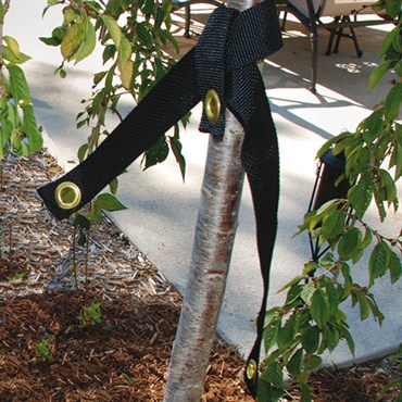 Dewitt 32" Tree Strap Bulk Box