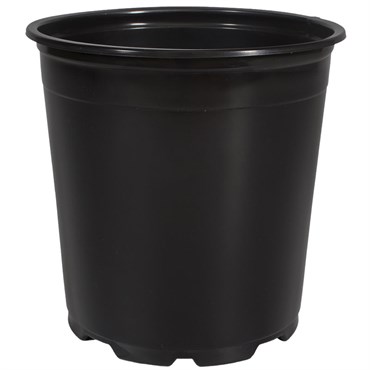 DLN 19.00 CM TALL EURO POT COEX BLK/BLK 132/CS 36CS/PL