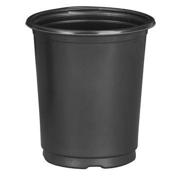DLN 01.00QT PER TL TAG SLOT COEX  Black 432/CS 33CS/PL