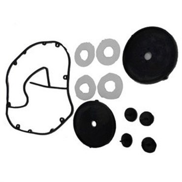 Danner Diaphragm Kit For AP100