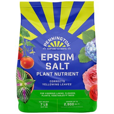 Pennington 7# Epsom Salt Plant Nutrient 6/CS