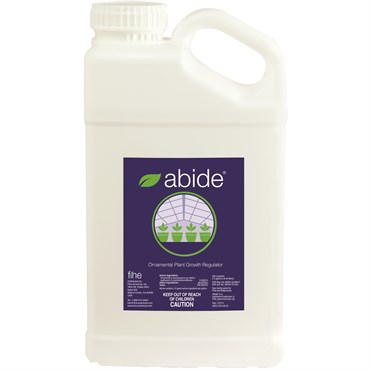 Fine Abide 2.5Gl (2/Cs) ( Ancymidol )