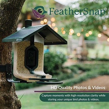 FeatherSnap Scout Version 1 Smart Bird Feeder - Image 2