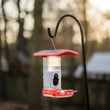 FeatherSnap Hummingbird Gen 1 Smart Bird Feeder - Image 2