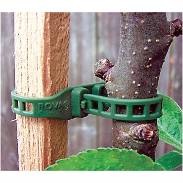 Garden Works 10ct 13" Softbinder