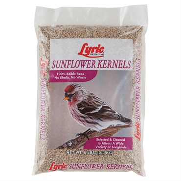 Lyric 5# Sunflower Kernels