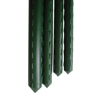 Gardener Select 6' Heavy Duty Green Vinyl Steel Stake 10/BD - Diameter 20mm