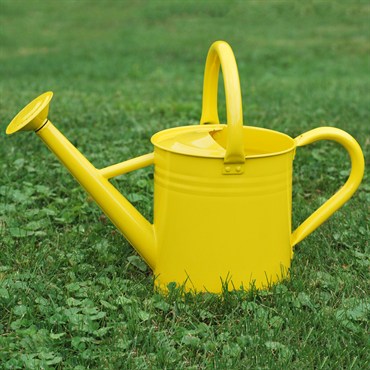 1.06 Gallon Gardener Select W8105Z 4L Watering Can Galvanized