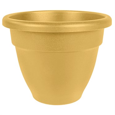 HC 12" Caribbean Planter Honey