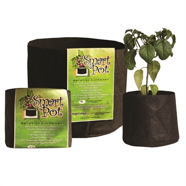 Smart Pot 300gal Black Bulk Box