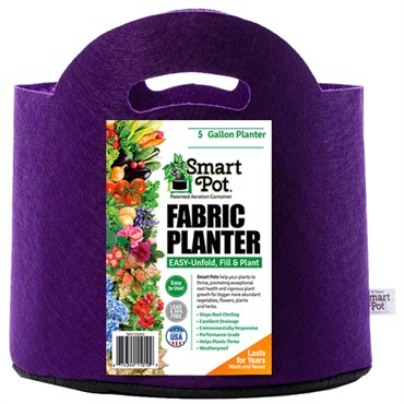 Smart Pot 12pc 5gal Violet w/ Cut Handle