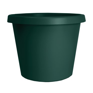 HC 12" Prima Planter Evergreen
