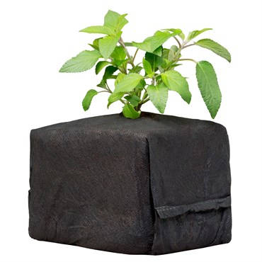 Botanicare 30ct CocoPro Cube 6x6x6 — Single Unit - Image 2