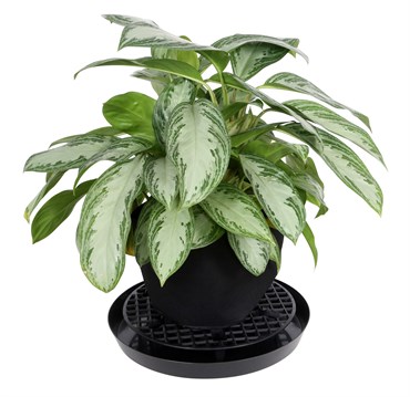 Gro Pro 16in NX Level Pot Elevator — Single Unit - Image 3