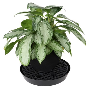 Gro Pro 18.5in NX Level Pot Elevator — Single Unit - Image 3