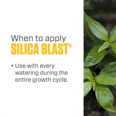 Botanicare 32oz Silica Blast — Single Unit - Image 6
