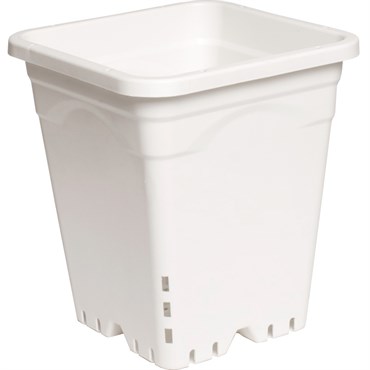 HDF 9"X9" Square White  Pot 10" Tall