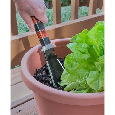 Ironwood Trowel Cultivator - Image 4