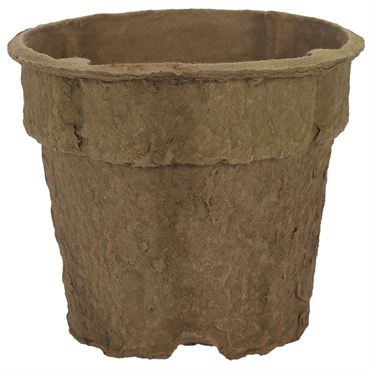 ITML 04.50 GERANIUM ECOGROW ROUND POT 322/CS 20CS/PL, USE TRS10450 10CT CARRY TRAY