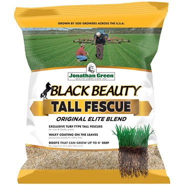 Jonathan Green 3# Black Beauty Tall Fescue