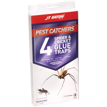 Pest Catchers Large Spider & Cricket Glue Boards