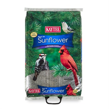 Kaytee 20# Oil Sunflower