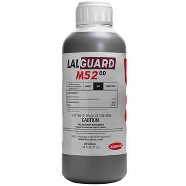 LALGUARD M52 OD 1L (12/CS) ( Metarhizium brunneum strain F52 )