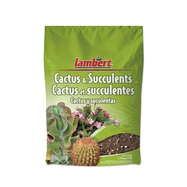 Lambert 4qt Cacti & Succulent 12/CS