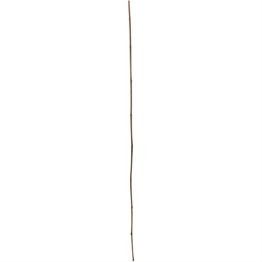 Gardener's Blue Ribbon 5'x1" Super Bamboo Stakes Bulk