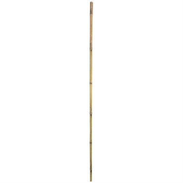 Gardener's Blue Ribbon Bulk 6'x1" Super Bamboo