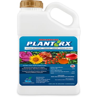 Organocide 1gal Plant RX Concentrate