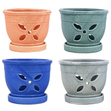 MCarr 12PC 5.5" 4 Petal Orchid Pot Mix Asst
