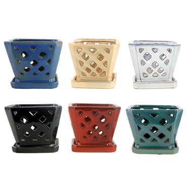 MCarr 6PC 5" Sq Diamond Orchid Pot Mixed Asst