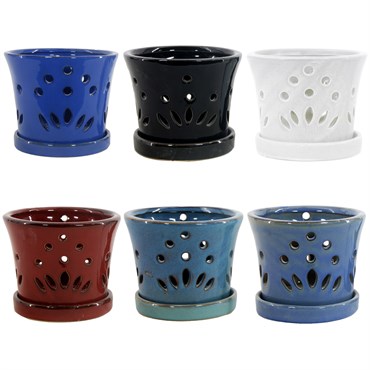 MCarr 6PC 7.1" Round Orchid Pot Mixed Asst