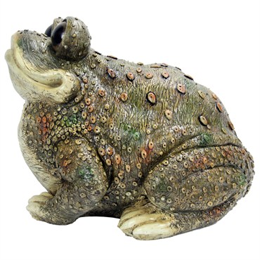 MCarr Kenzie Toad