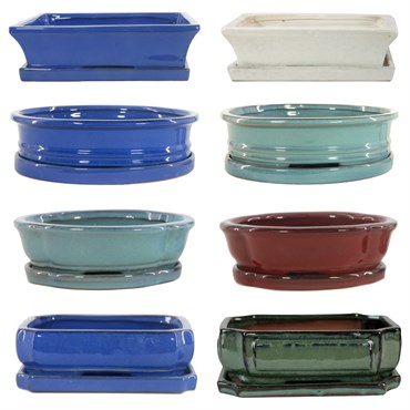 MCarr 8PC 8" Bonsai Pot Mixed Asst