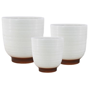 MCarr 16pc 7" Medium Planter Set White