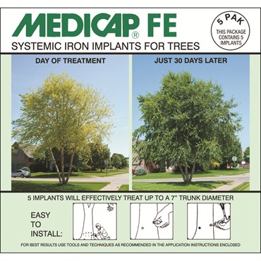 Medicap FE Super 10 Pak Iron 1/2" Diameter Implant