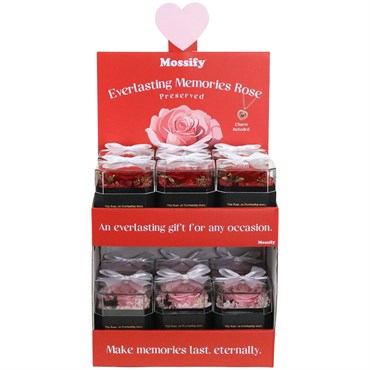 Mossify 12pc Preserved Rose Counter Display