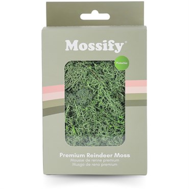 Mossify 60g Reindeer Moss Bag Small Pistachio