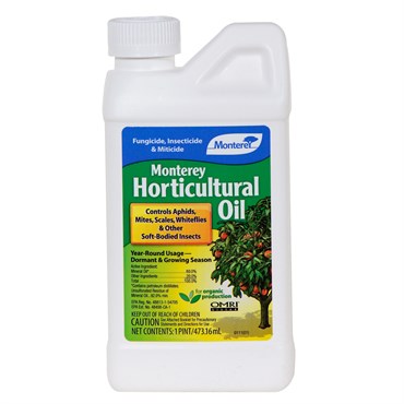Monterey 16oz Hort Oil Conc — Single Unit