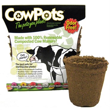 Summit Cow Pot #3 Round 12ct